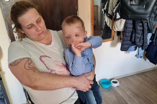 Pies pogryzł 3-latka na przystanku