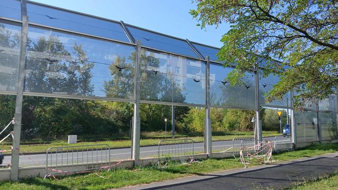 Straty liczone są w dziesiątkach tysięcy złotych