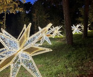 Otwarcie Lumina Parku w Poznaniu. Tegoroczne świecące miasteczko robi fenomenalne wrażenie!