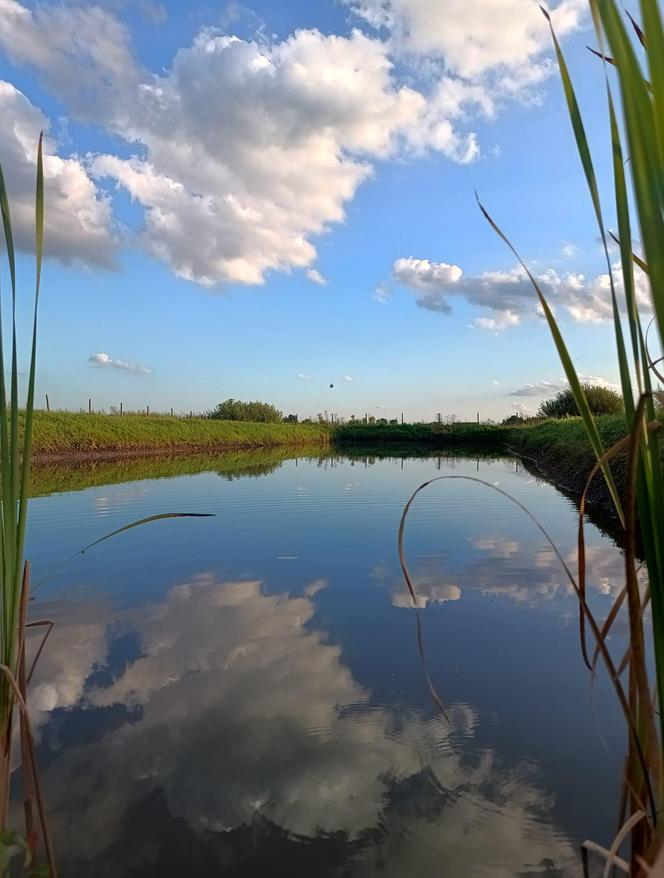 Światowy Dzień Fotografii. Z tych fotek są dumni nasi Czytelnicy! ZOBACZ