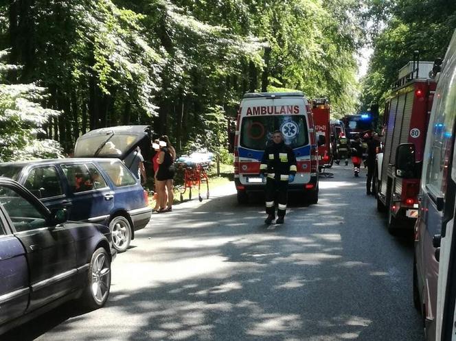 Koszmarny wypadek w powiecie kołobrzeskim. Nie żyje jedna osoba, troje dzieci w szpitalu