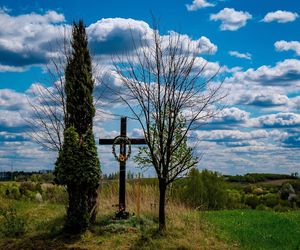 To trzy wsie w kujawsko-pomorskim idealne na rodzinny wypad. Ładne widoki i okolica na długie spacery [GALERIA]