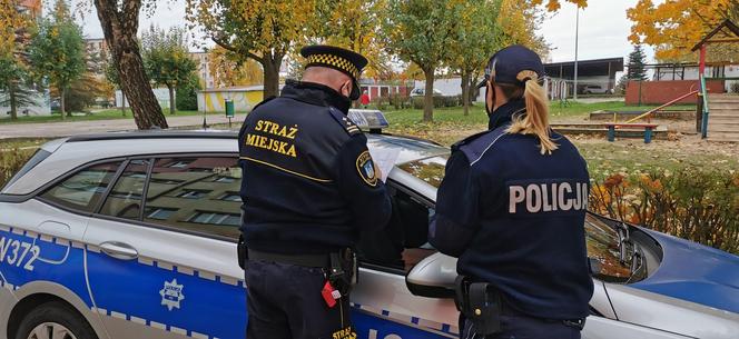 Śląskie: Huczne urodziny 14-latki w parku. Interweniowała straż miejska