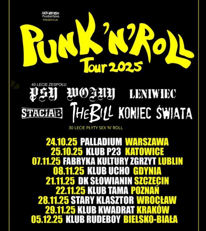 PUNK 'N' ROLL TOUR! Daty i Miasta