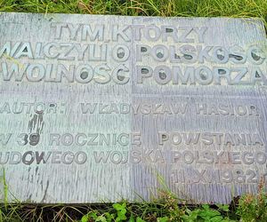 Płonące Ptaki w Koszalinie