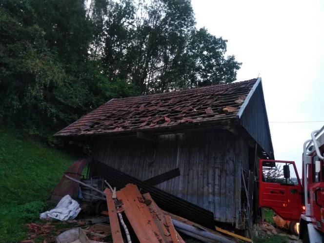 Kicznia. Uderzył samochodem w budynek. Wszystko przez dzikie zwierzę