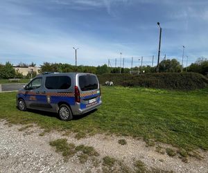Śmietnisko opon na osiedlu w Gostyniu postrzątane 