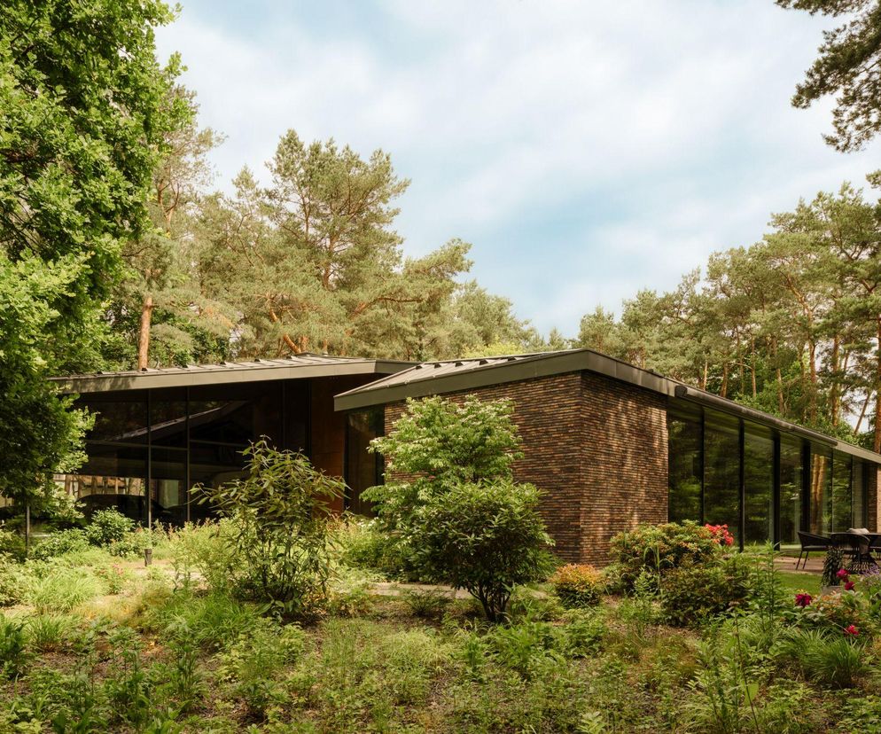 Nowoczesny dom jednorodzinny w Konstancinie, wkomponowany w zielony krajobraz leśnej działki. Widoczna elewacja z cegły oraz duże, panoramiczne okna, które harmonizują z otoczeniem. Więcej o tym projekcie architektonicznym przeczytasz na portalu Architektura Murator Plus.