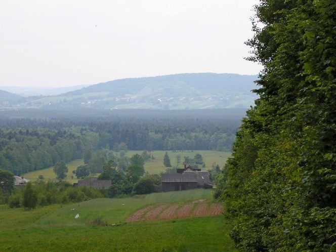 Klonów - urokliwa wieś w sercu Puszczy Świętokrzyskiej