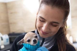 Zwierzęta przywdziały ciepłe swetry na jesień