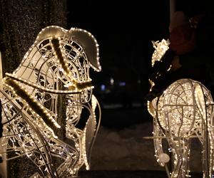 Świąteczna karuzela dołączyła do iluminacji bożonarodzeniowej w Lublinie