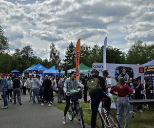 Festiwal Przyjaciół Zwierząt w Olsztynie. Park Centralny opanowały radosne pieski