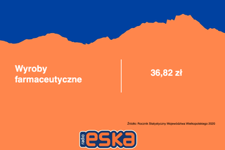 Wielkopolska: Na co wydajemy najwięcej pieniędzy?