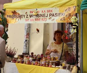 Miasto miodem płynące! Tak świętowali pszczelarze w Lublinie! Zobacz 