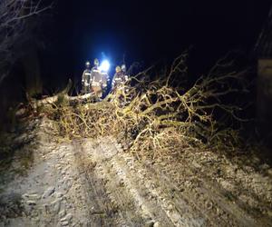 Wichury do 100 km/h, alerty IMGW. Gdzie będzie najgorzej?