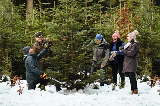 Choinka dla życia. Akcja Nadleśnictwa Elbląg