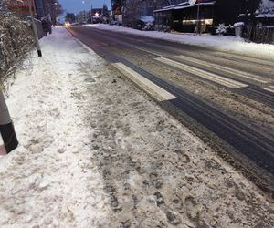 Śnieżna noc za nami. Czy zima zaskoczyła mieszkańców Poznania? 