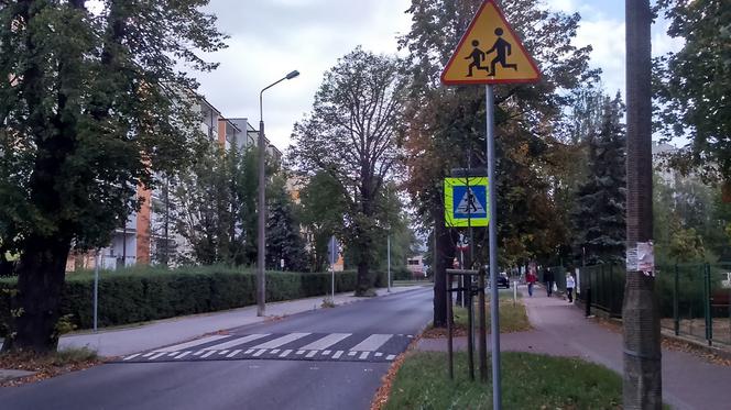 W Toruniu pojawiły się wyniesione przejścia dla pieszych. Sprawdziliśmy jak działają!