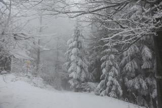 Pogoda na dziś, 21 września: W Polsce spadnie śnieg! Zaskakujące prognozy