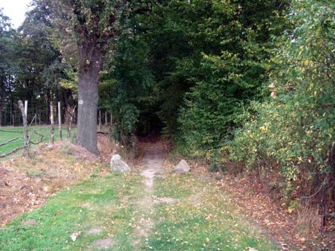 Wąwóz