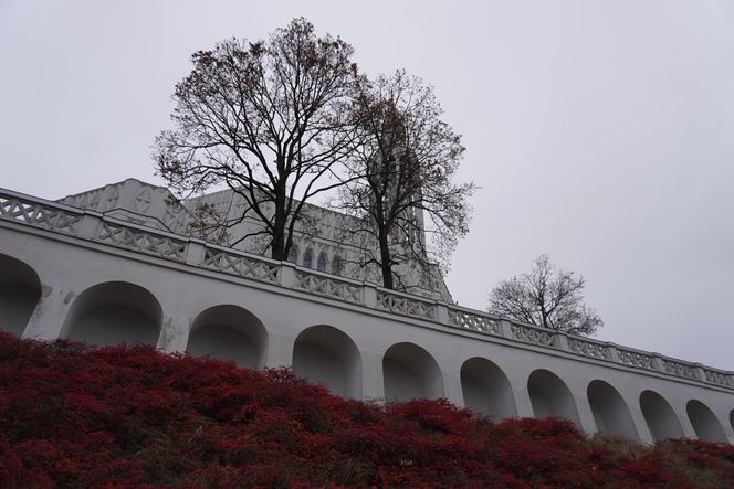 Kościół św. Rocha to najwyższa świątynia w Podlaskiem