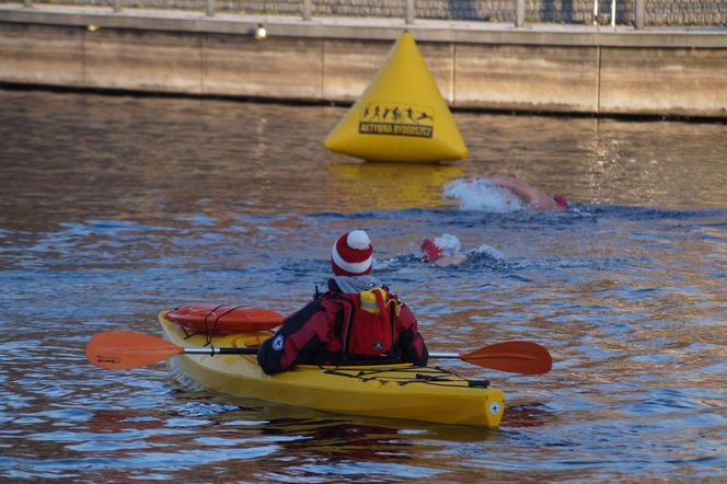 Wskoczyli do lodowatej Brdy! Za nami zawody FOCUS Ice Swimming Bydgoszcz Festival 2024