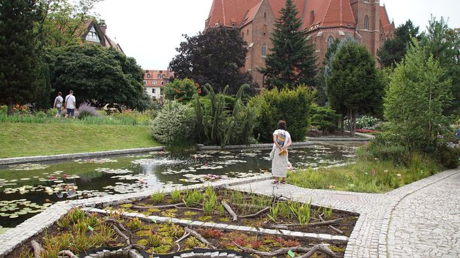 Wielka atrakcja w samym centrum Wrocławia. Otwarcie już pod koniec marca 