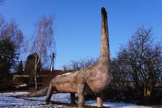 Zimowy spacer po Podzamczu w Łęcznej