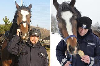 Policjanci walczą o emeryturę dla... konia. Blue Baker służył przez 12 lat