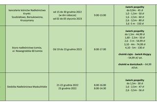 Boże Narodzenie 2022. Ceny choinek w nadleśnictwach RLDP w Białymstoku. Najtańsze drzewko kupimy za 12 złotych!