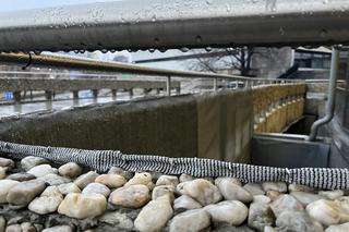 Katowice: Na tę inwestycję mieszkańcy Koszutki czekali od lat. Teraz na rowerach... zjadą pod katowickie rondo