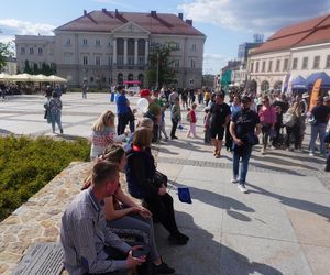 Piknik w Rynku w Kielcach. 1 maja 2025