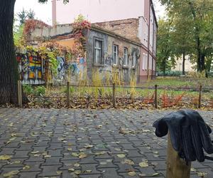 Rośliny posadzone, brakuje tylko kilku elementów. Skwer dr. Kuźniaka w Lesznie prawie gotowy