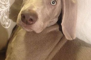  Kayah pożegnała przyjaciela. Łzy same napływają do oczu