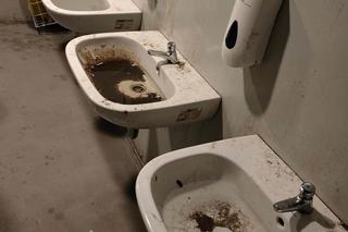 Ohyda! Takie toalety zobaczyli kibice Śląska na Tarczyński Arena 