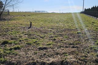 10-letni Dominik zginął przed swoim domem. Rodzina i przyjaciele chłopca są zdruzgotani