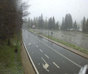 Śnieżyca w Małopolsce. Atak zimy w połowie maja!