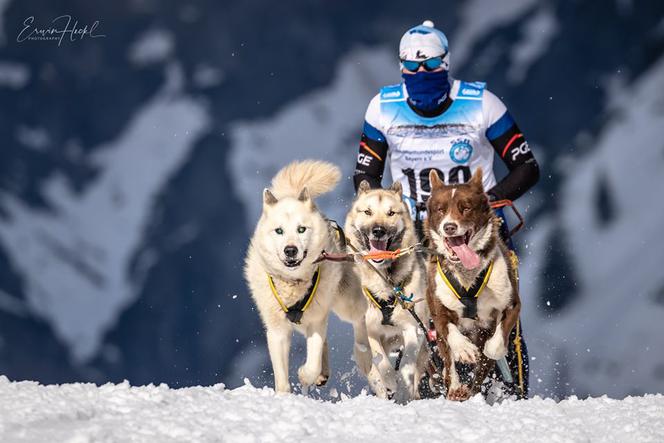 Waldemar Stawowczyk Team