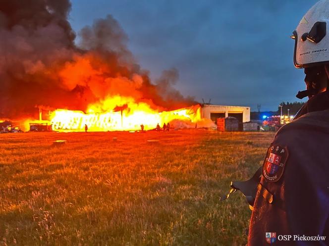 Pożar składowiska odpadów w Promniku (gm. Strawczyn)