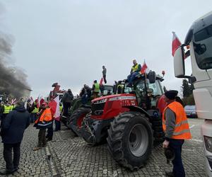 Protest rolników we Wrocławiu. Strajk wymyka się spod kontroli. Urząd Wojewódzki obrzucany jajkami