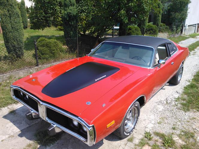 Kolekcja Darka Lemańskiego