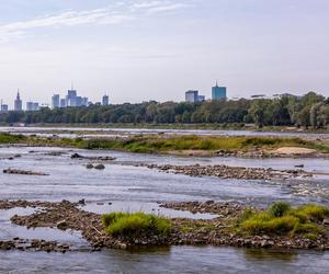 Wisła wysycha - rekordowo nisko poziom wody. Zobacz zdjęcia