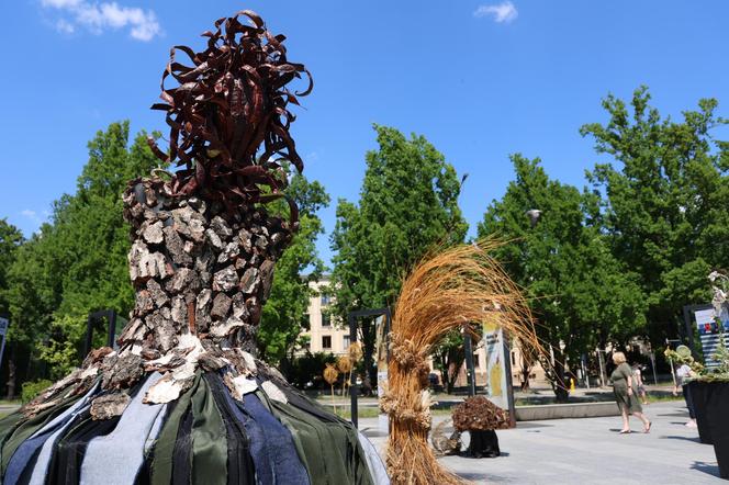 Weekend z florystyką w Lublinie. Zobacz imponujące roślinne instalacje w centrum miasta!