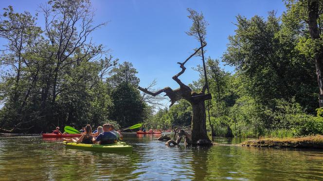 fundusze europejskie rower