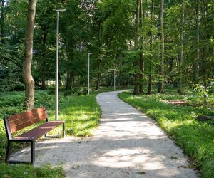 Zabytkowy park pod Lubawą zmienił się nie do poznania. Teraz wygląda jak z bajki