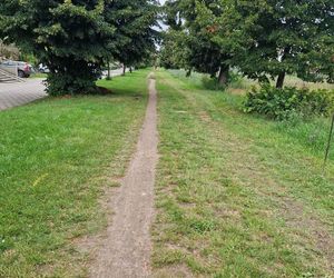 ​Na nowej ścieżce rowerowej w Lesznie już kładą asfalt [ZDJĘCIA]