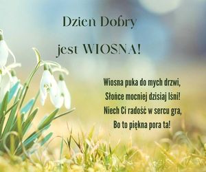 Dzień wiosny - kartki z życzeniami