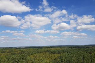 Wieża widokowa w Uhowie. To najwyższa wieża na Podlasiu [ZDJĘCIA]