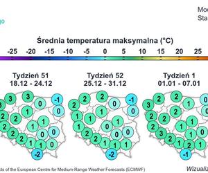 Prognoza pogody na grudzień i styczeń