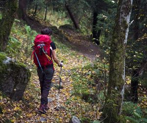 5 najlepszych tras trekkingowych w okolicach Warszawy – idealne miejsca na aktywny wypoczynek 